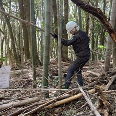 チェンソー作業　竹林整備の求人　／まずはお試しOK、糸島の竹林を綺麗にしましょう。の画像