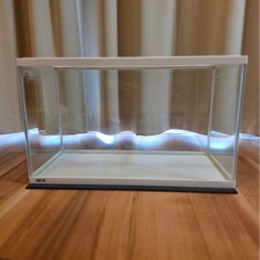 水槽セットの画像