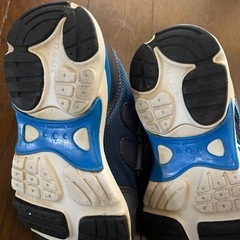 靴17センチの画像