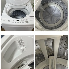 R483 ☀️ ジモティー限定特別価格！ 2024年製の高年式♪ SHARP 洗濯機 （洗濯5.5㎏) ES-GE5H ⭐ 動作確認済 ⭐ クリーニング済の画像