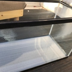 水槽　ガラス　60センチの画像