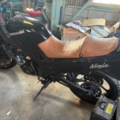 即乗りgpx250r2規制前45馬力ネイキッド仕様の画像