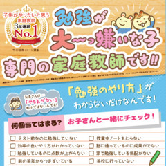 【宮崎県東臼杵郡美郷町】家庭教師のわっふる（株式会社HAKU）勉強が大っ嫌いな子専門の家庭教師｜45431の画像