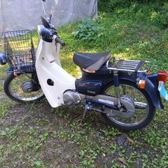 ホンダカブ50の画像