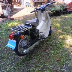 ホンダカブ50の画像
