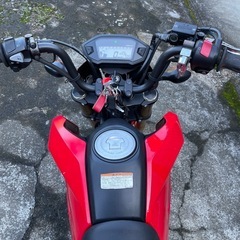 ホンダ　グロム前期型中古実動車
の画像