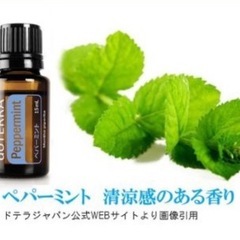 ドテラ　イントロダクトリーキットの画像
