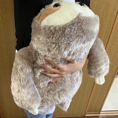 ふわもちっ！な触り心地のナマケモノの画像