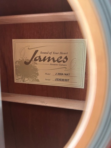 アコースティックギター　James J-300A NAT