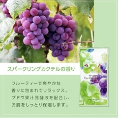 ハーバルエクストラ 詰め合わせ 20g [4種アソート] (800個)の画像