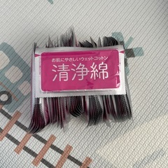 抱っこ紐とオムツ替えシートと洗浄綿の画像