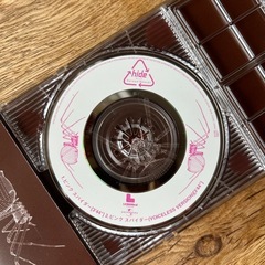 hide（ミニCD ）遺作『ピンクスパイダー』の画像