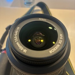 Nikon D3100 カメラの画像