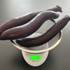 無農薬ナス 3本の画像