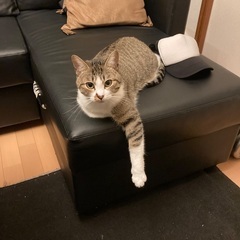 3歳♀と10歳♀です