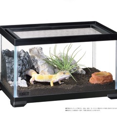 【〜9/18 15:00まで】爬虫類　ケージの画像