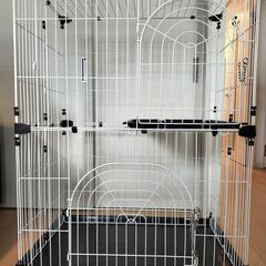 取りに来られる方に差し上げます。の画像