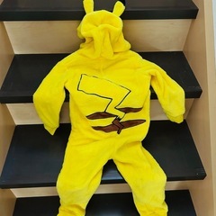 ピカチュウ　110サイズの画像