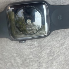 Applewatch seの画像