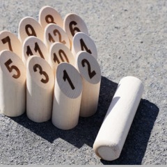 一緒にモルックしませんか？