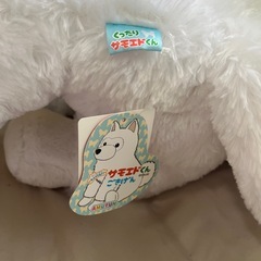 サモエドぬいぐるみの画像