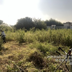 草刈り 芝刈り伐採作業致します。所沢市清瀬市狭山市東村山市〜