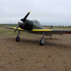 Top Flite Zero A6Mの画像