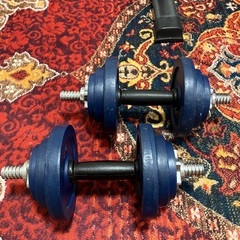 懸垂マシン&可変式ダンベル10㎏×2の画像