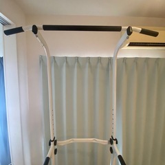 懸垂器(ぶら下がり健康器)の画像