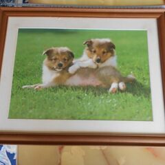 写真額縁（４６.5・３７ｃｍ）５個（ばら売り可）の画像