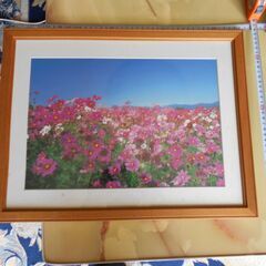 写真額縁（４５.5・３６ｃｍ）４個（ばら売り可）の画像