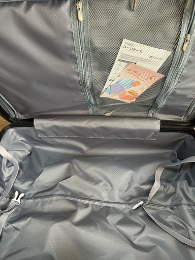 スーツケース L 98L キャリーバッグ キャリーケース 超軽量 大型 旅行 軽量 大容量 TASロック 長旅 7-14泊