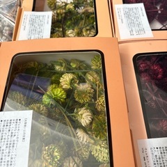 ドライフラワー　大量の画像