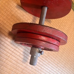 自作のダンベルの画像