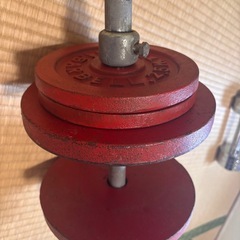 自作のダンベルの画像