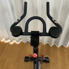 ライシン　スピンバイクの画像