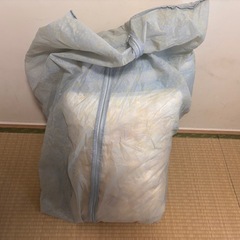 ニトリの枕とノーブランドの布団の画像