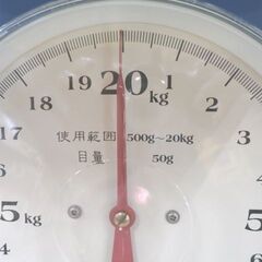 上皿はかり 500g～20kg ひょう量20㎏ 量り はかり ブルー 西岡店の画像