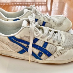 asics 体育館シューズ
の画像