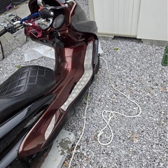 グランドマジェスティの画像