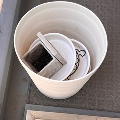 大きい植木鉢やちょっといい植木鉢の画像