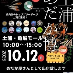 土浦めだか博