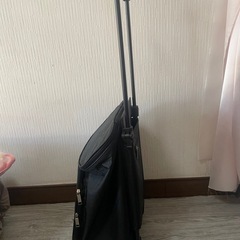 スーツケースさしあげますの画像