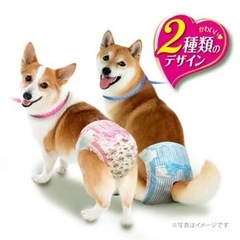 マナーウェア 女の子用 L ピンクリボン・青リボン 犬用 おむつ ユニチャーム【2〜48枚】の画像