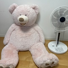 コストコ　クマの画像