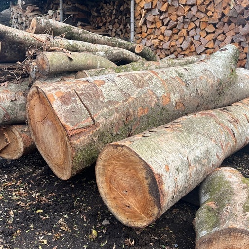 広葉樹　薪　原木