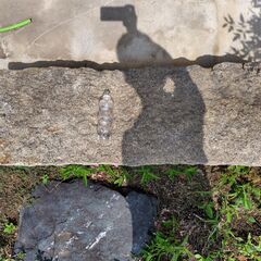 【無料】庭石 石材 庭園用 石畳 ガーデニング 花壇 造園 岩石の画像