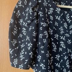 ワンピースの画像