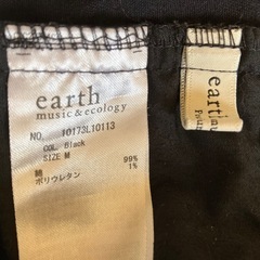 earth タックスカートの画像