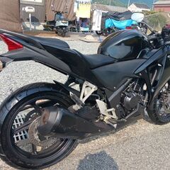 CBR250R.ABS.好調.始動動画.ニンジャ.GSX25Rの画像